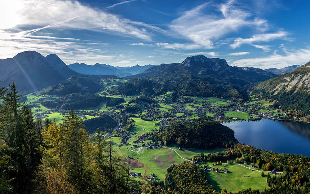 Waldwirkungen – Die 4 grundlegenden Funktionen des Waldes