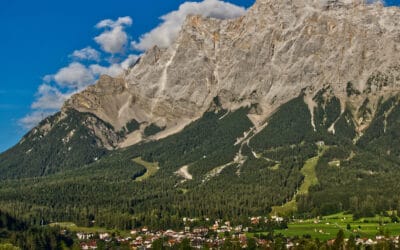 Woche des Waldes 2022: „Der Wald sichert unsere Regionen“