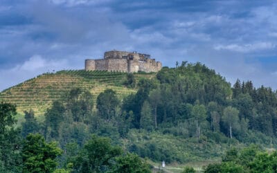 waldgeschichten-oesterreichische-forsttagung-2022-burg-taggenbrunn