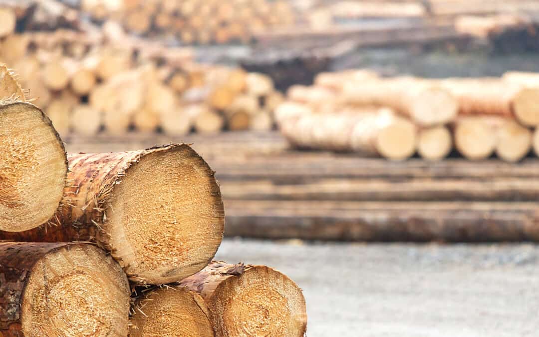 Exemplarische Nutzungskombinationen für den klimaoptimierten Holzeinsatz