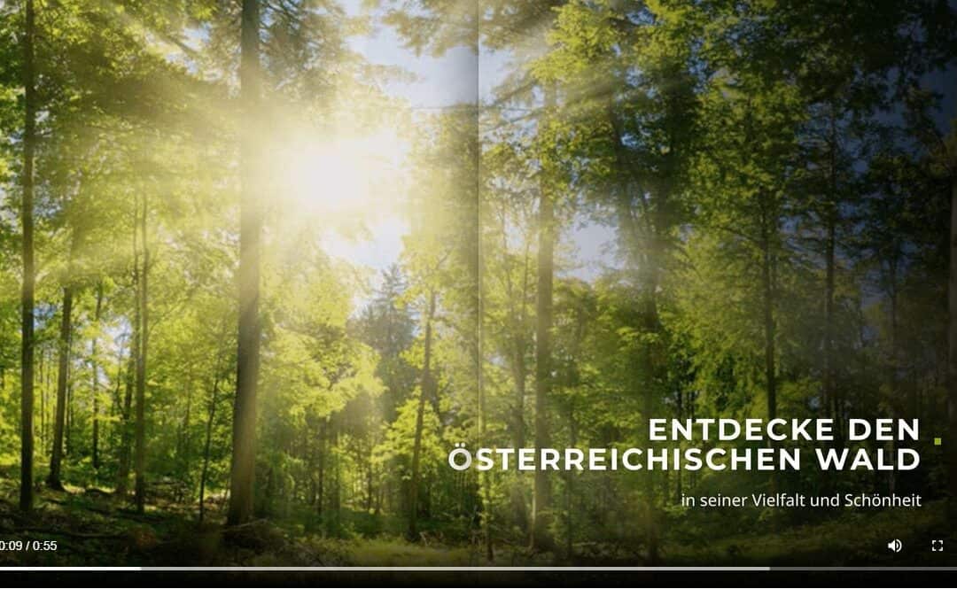Das Wald-Magazin für Österreich