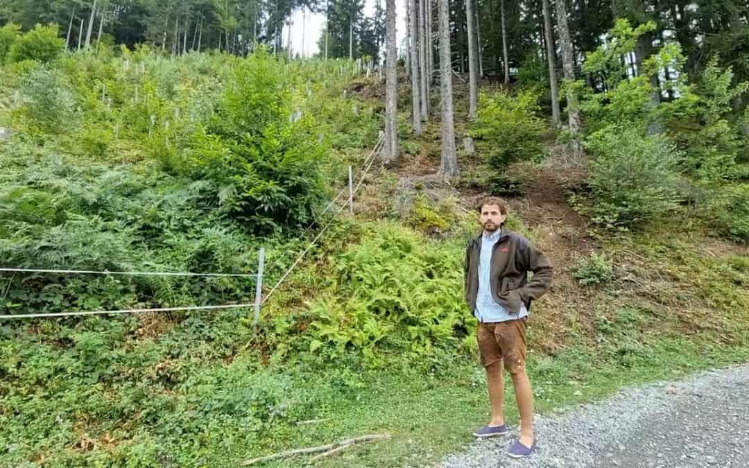 Stefan zeigt uns mit dieser Laubholzaufforstung sein Herzensprojekt