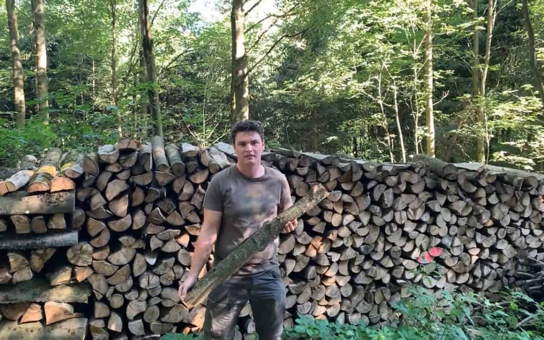 Brennholz – erneuerbarer Energieträger mit langer Vorlaufzeit