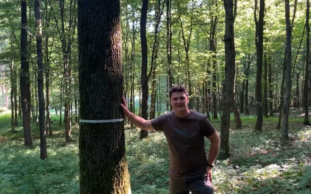 Maximilian zeigt uns einen Hainbuchen-Eichenwald