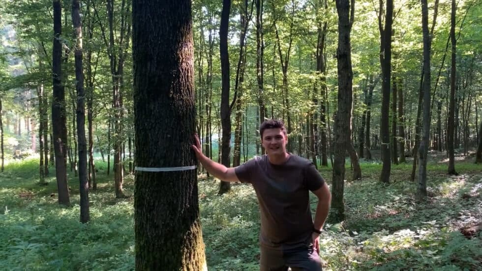 waldgeschichten-video-app-wald-maximilian-zeigt-uns-einen-hainbuchen-eichenwald