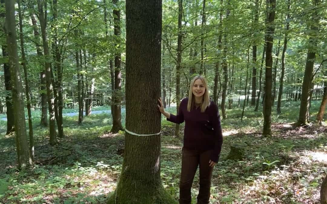 Ricarda erklärt die wichtigsten Punkte bei der Wertholzproduktion