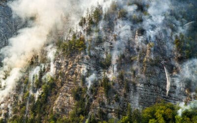 Waldbrandgefahr durch Satelliten einschätzen