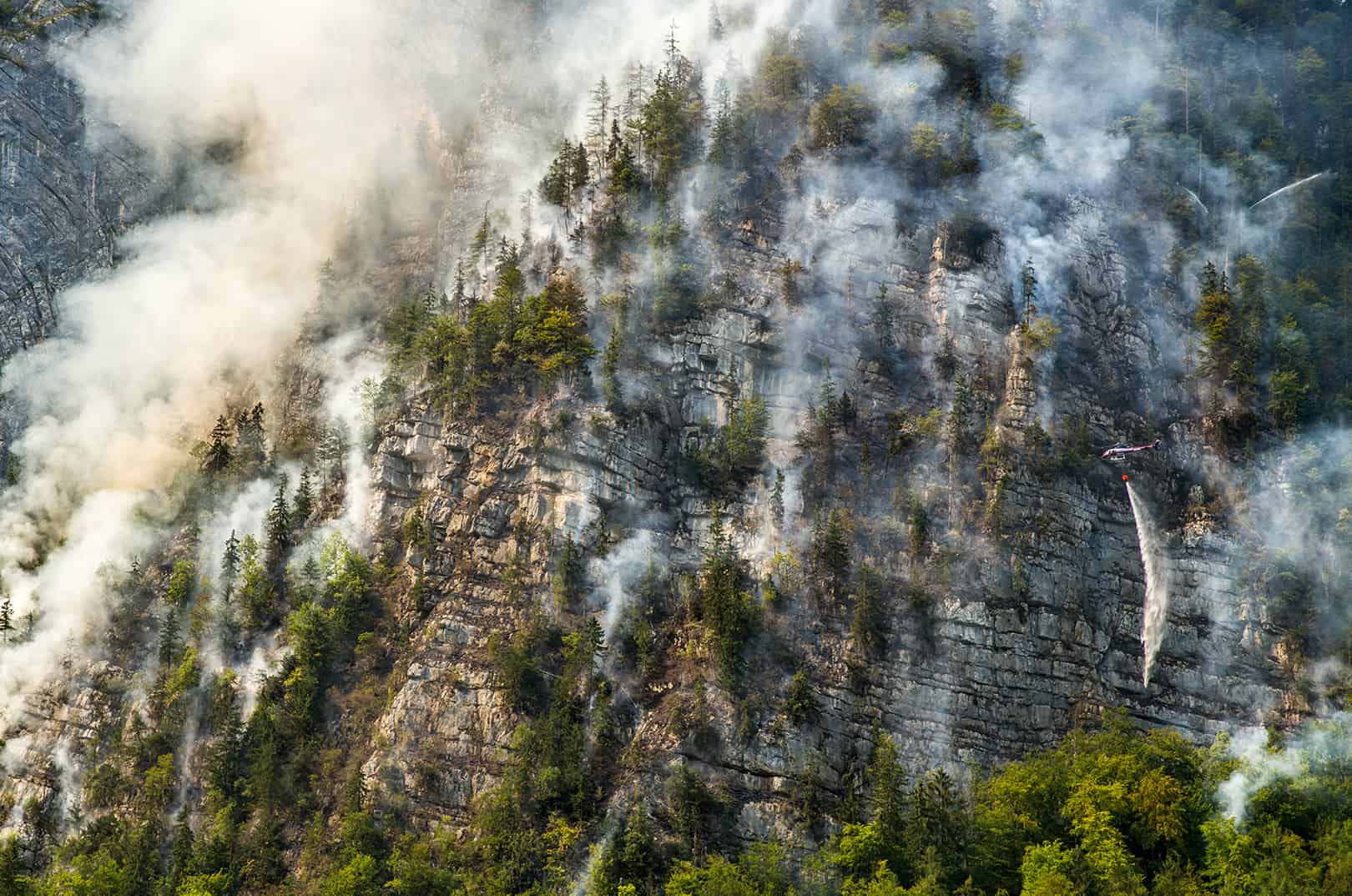 waldgeschichten-feuer-waldbrand-projekt-confirm-waldbrandgefahr-einschaetzen-mit-satelliten