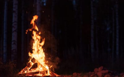 waldgeschichten-waldbrand-gefahr-wald-lagerfeuer