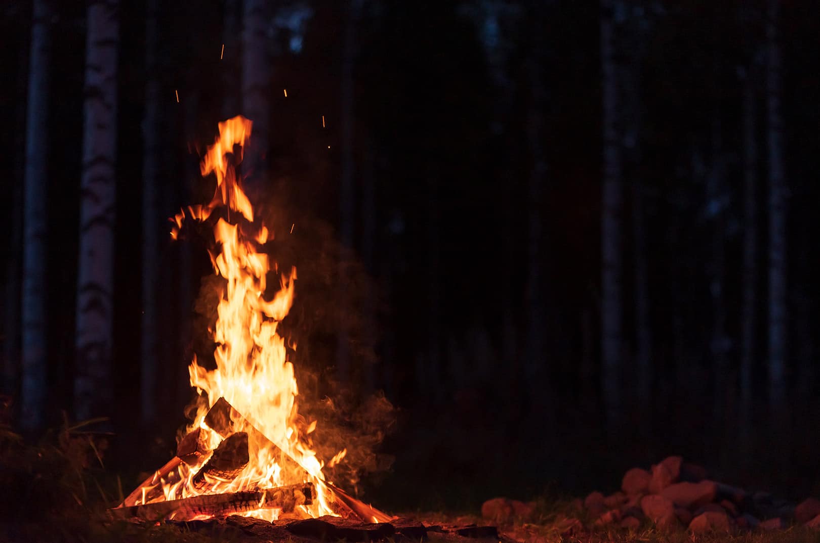 waldgeschichten-waldbrand-gefahr-wald-lagerfeuer