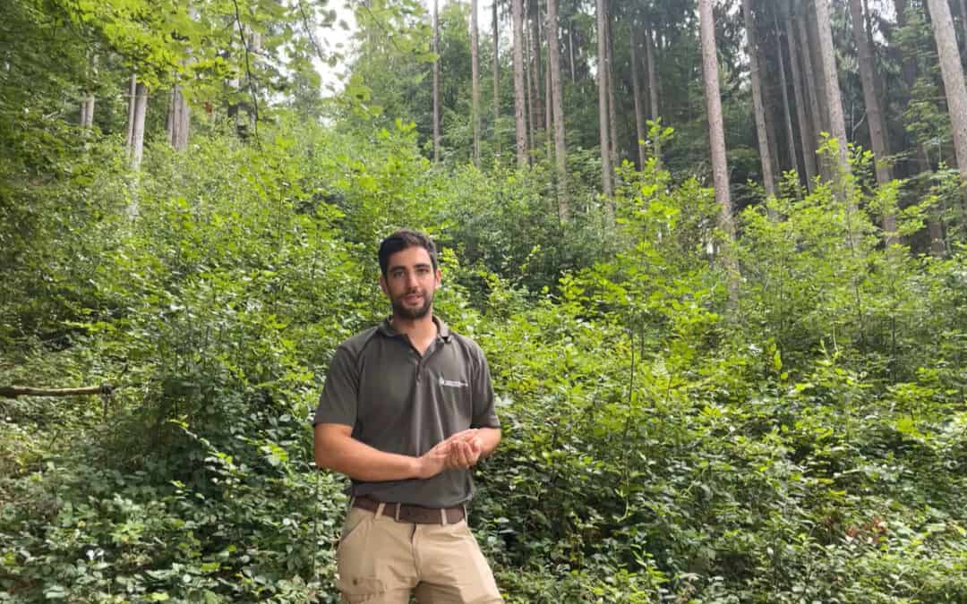 Gesellschaftliche Leistungen des Waldes mit Unterstützung der LK-Forstberatung