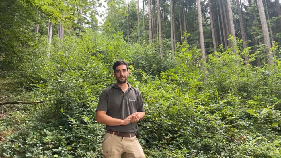 waldgeschichten-app-video-wald-leistungen-des-waldes-erklaert