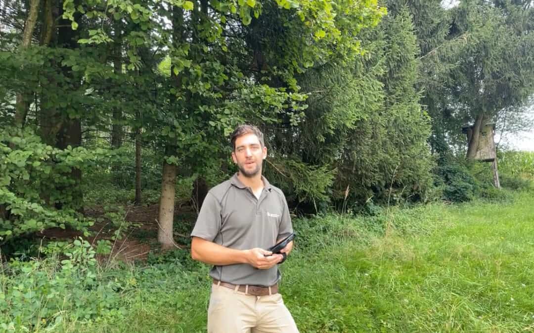 Waldwirtschaftsplan – Nachhaltige Waldbewirtschaftung muss geplant sein