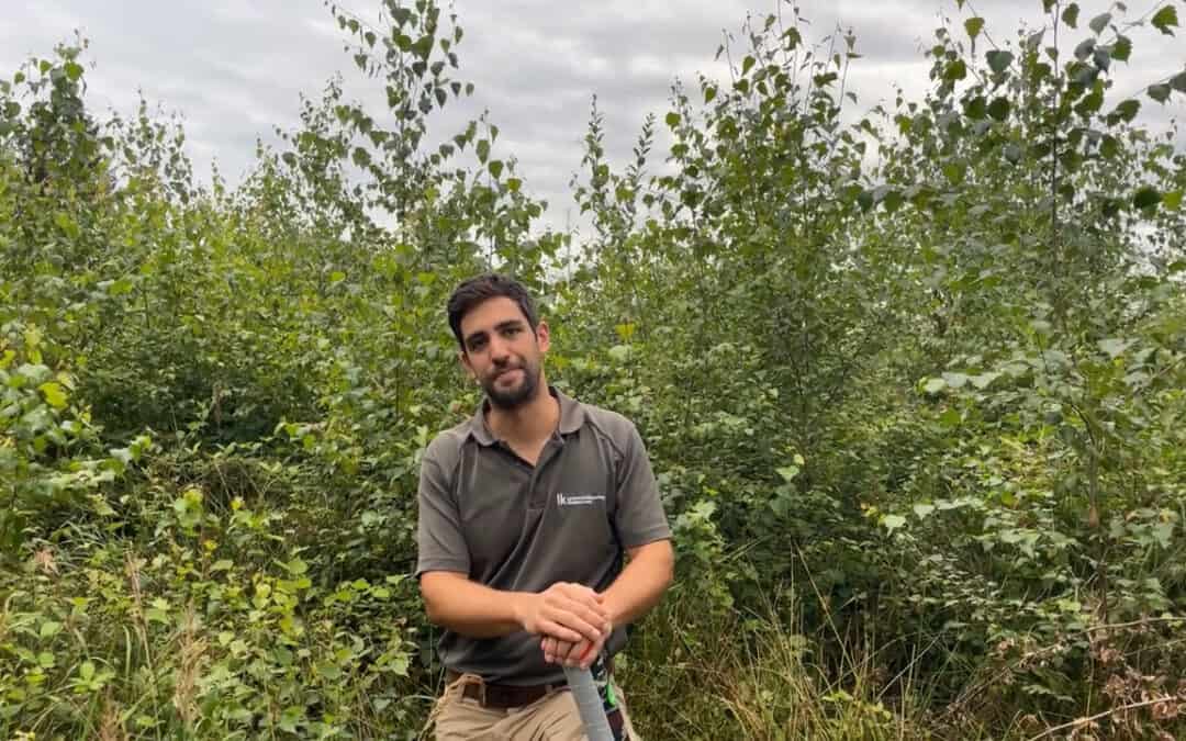 Natürliche Verjüngung OHNE Zaun und Pflege nach Schadholzernte 2017