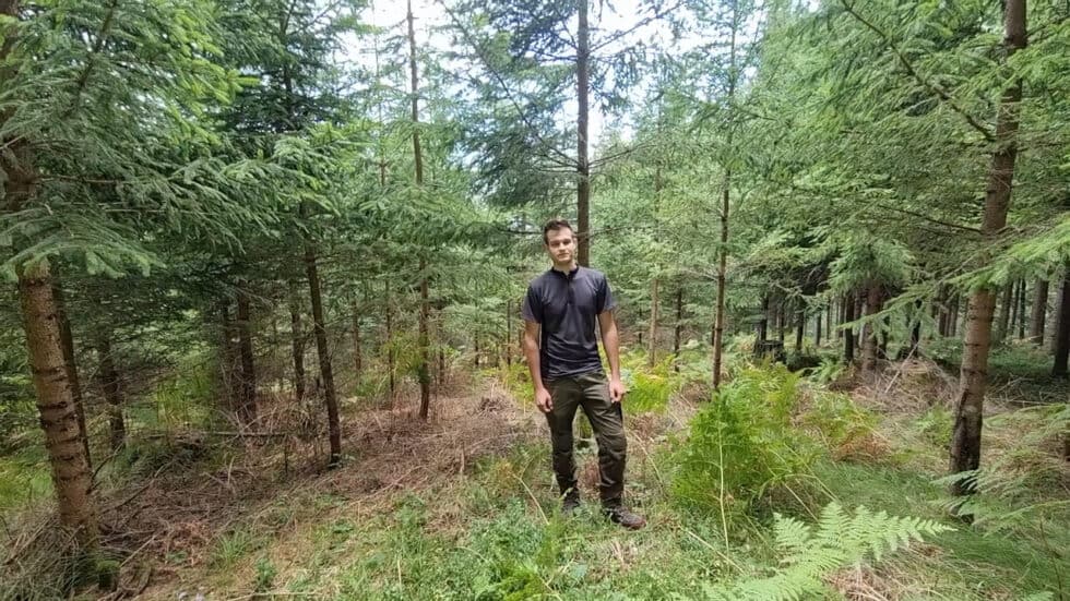 waldgeschichten-video-wald-app-dickungspflege-erklaert