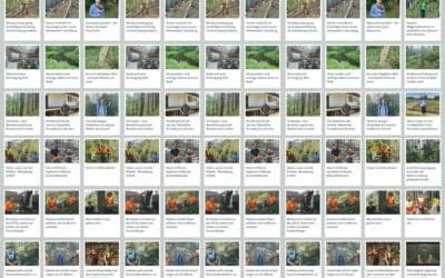 170 Video Geschichten aus dem Wald online!