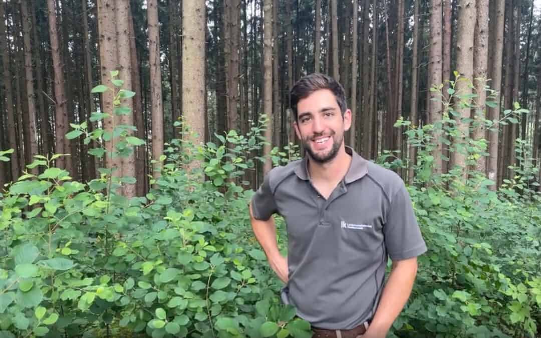 Faulbaum in der Verjüngung – Freund oder Feind?