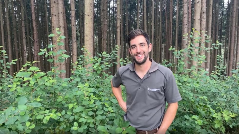 waldgeschichten-video-wald-app-faulbaum-erklaert