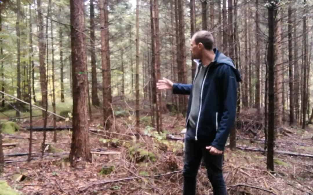 Waldumbau braucht Zeit und Wissen