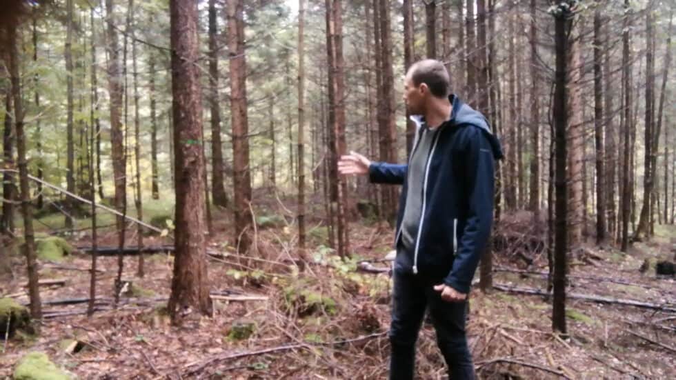 waldgeschichten-video-wald-app-waldumbau-stefan-erklaert