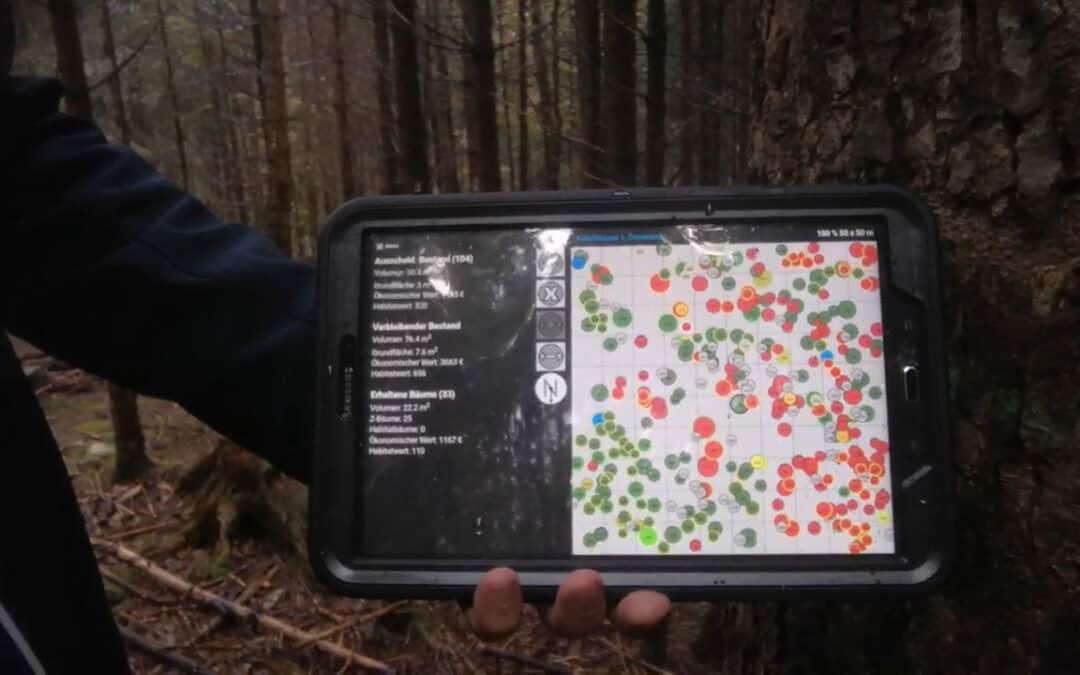 Der digitalisierte Wald