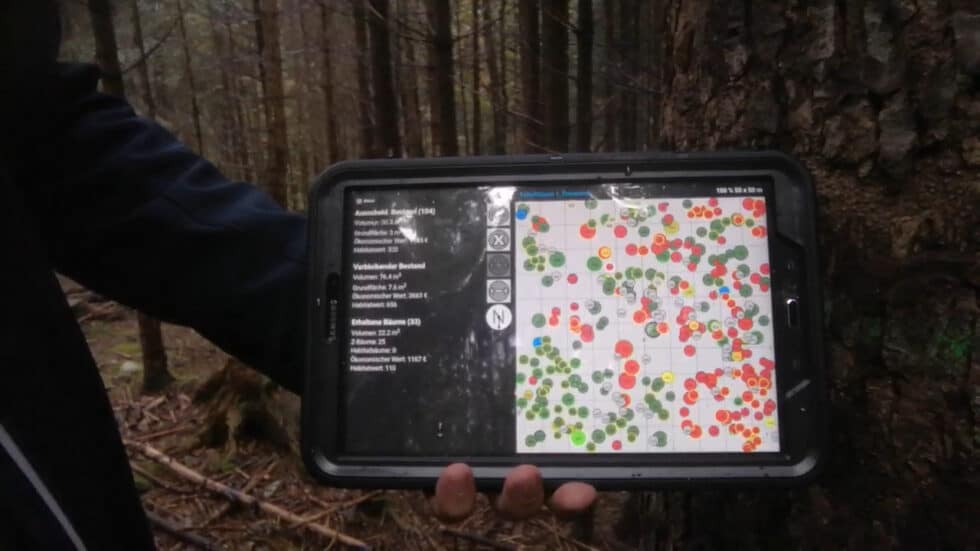 waldgeschichten-video-wald-app-marteloskop-digitalisierte-wald