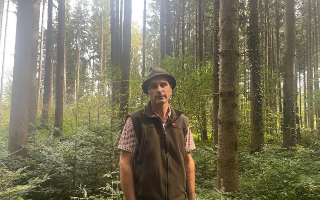 Andreas liebt seinen Beruf als Forstberater in OÖ