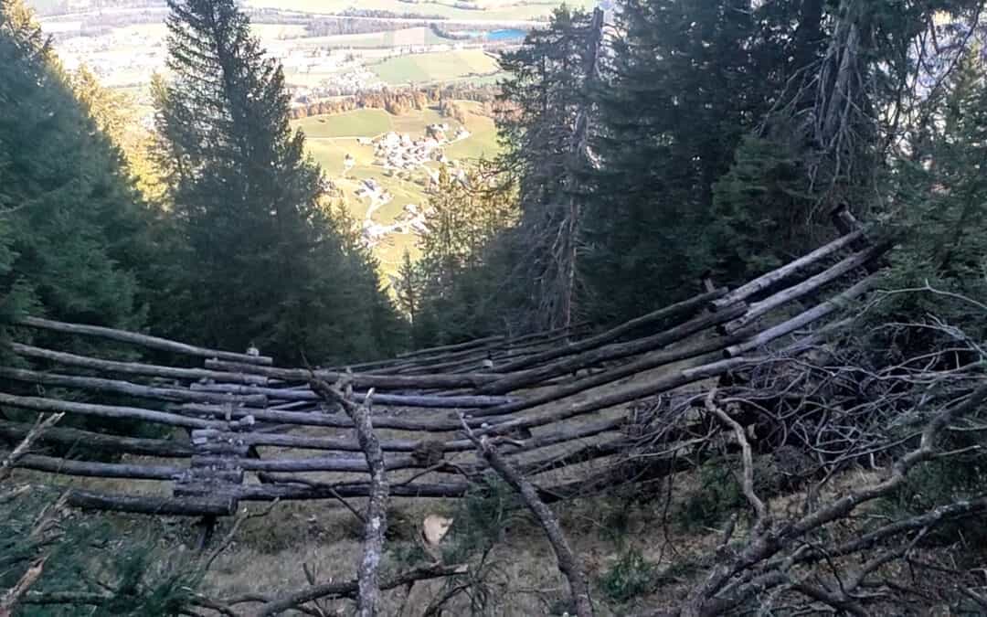 Schutzwald-Bewirtschaftung: Günters langer Fußmarsch zum Wohle der Gesellschaft