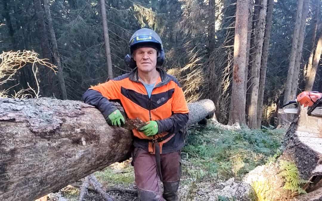 Borkenkäfer finden sich auch in hohen Lagen