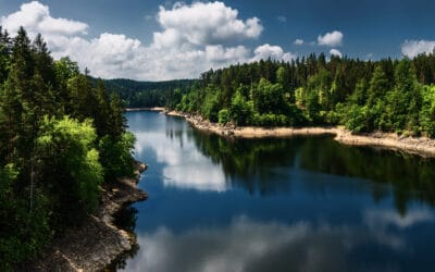 waldgeschichten-wald-in-niederoesterreich-waldviertel-schutzgebiete-in-oesterreich