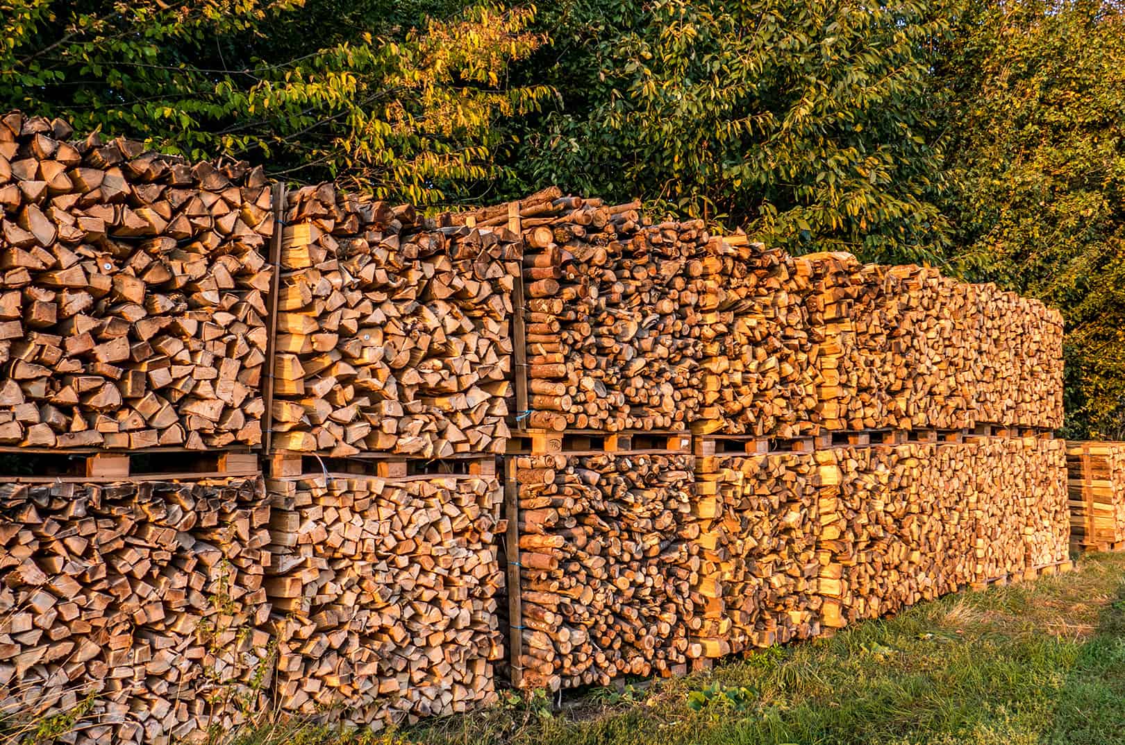 waldgeschichten-brennholzlager-im-freien