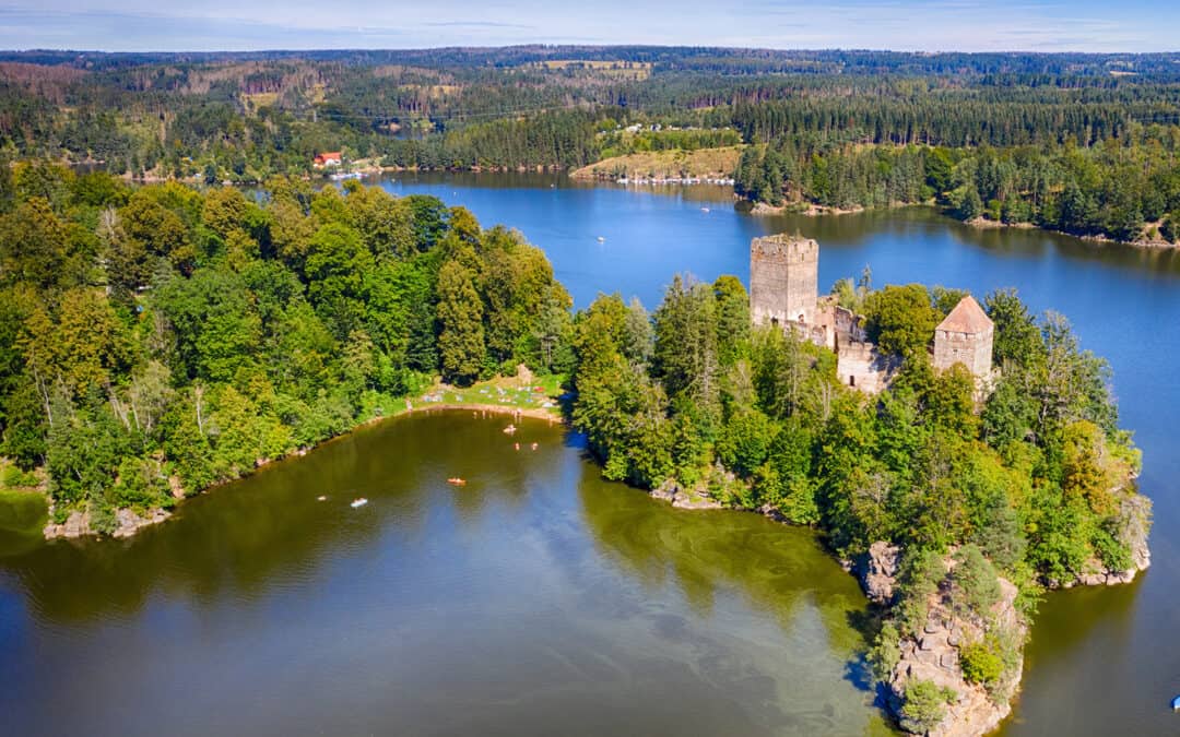 Tipp! Neuer Artikel zum Wald in NÖ