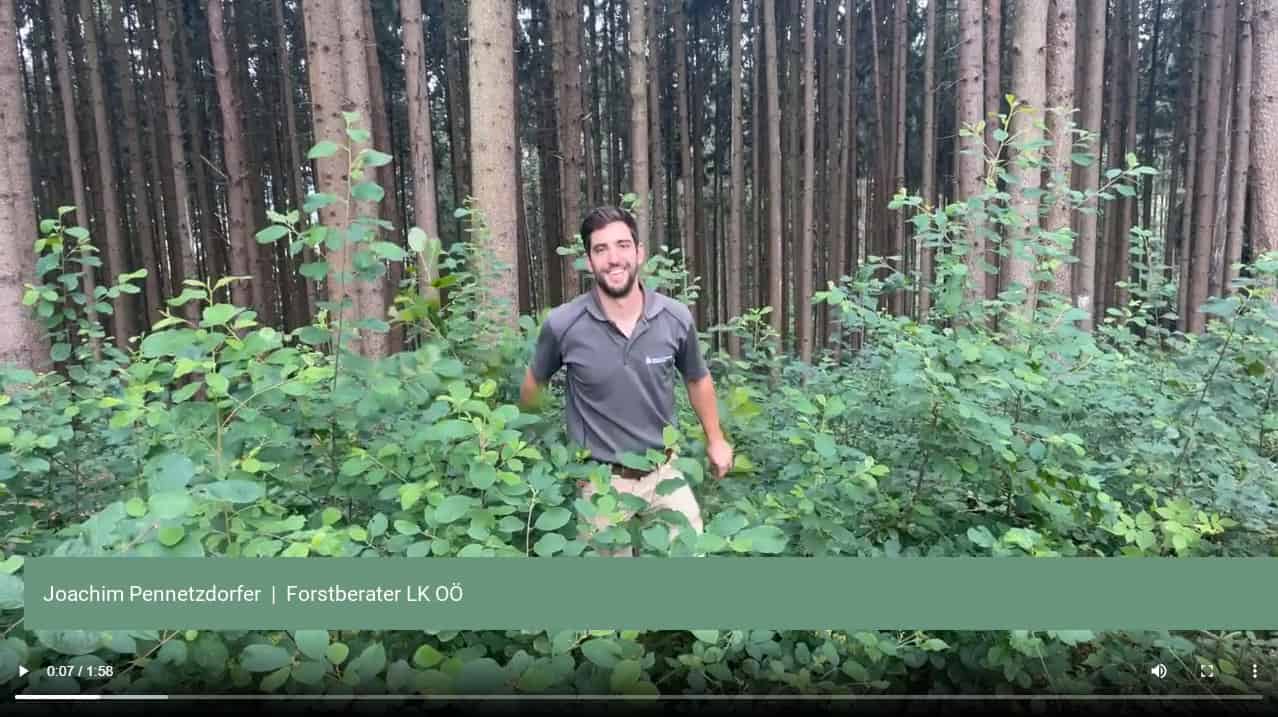 waldgeschichten-forstberater-neue-wald-videos-online