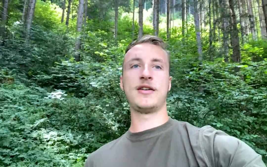 Baumartenreiche Wälder für unsere Zukunft