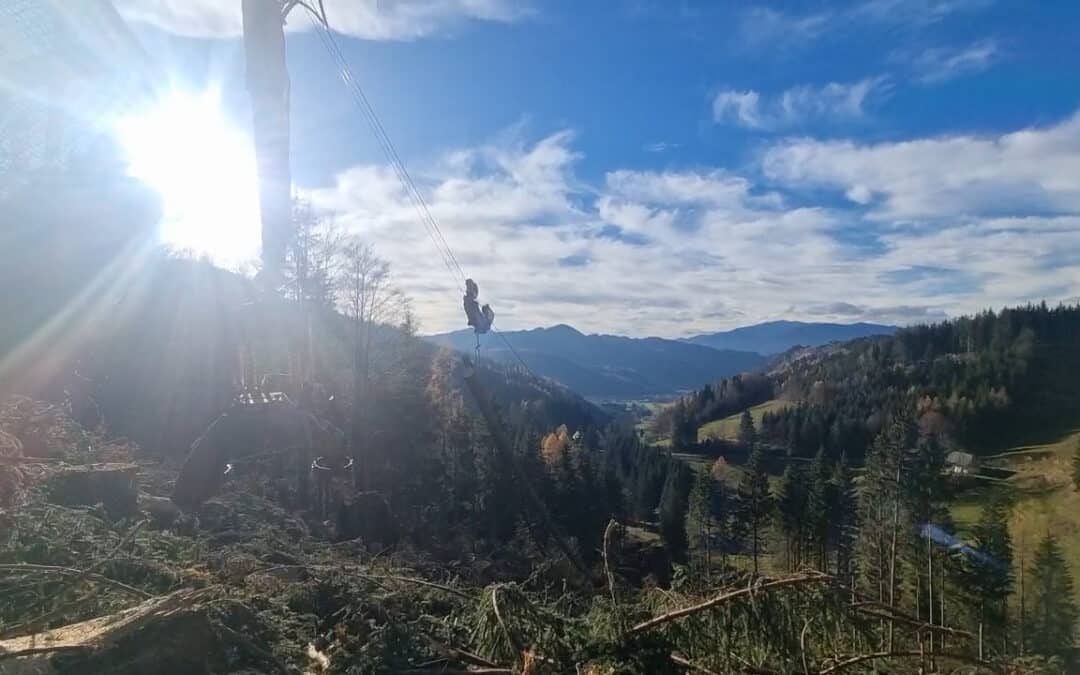 Seilgerät für eine bodenschonende Holzernte im steilen Gelände