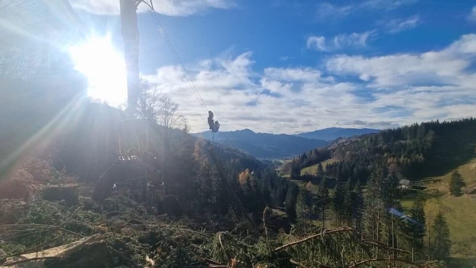 waldgeschichten-video-app-wald-seilgeraet-bodenschonenden-holzernte-im-video-zu-sehen