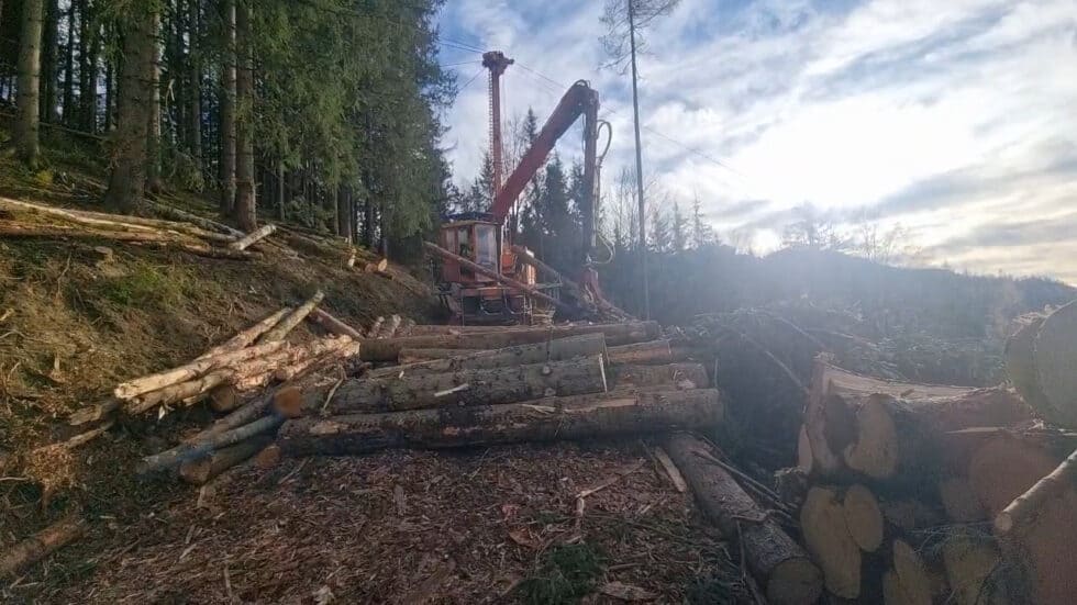 waldgeschichten-app-wald-video-erklaert-wie-holzernte-seilgeraet-funktionsweise