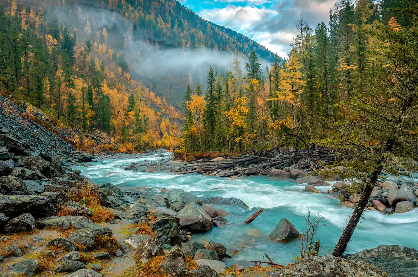 waldgeschichten-der-wald-in-tirol-waelder-tirols-tipps