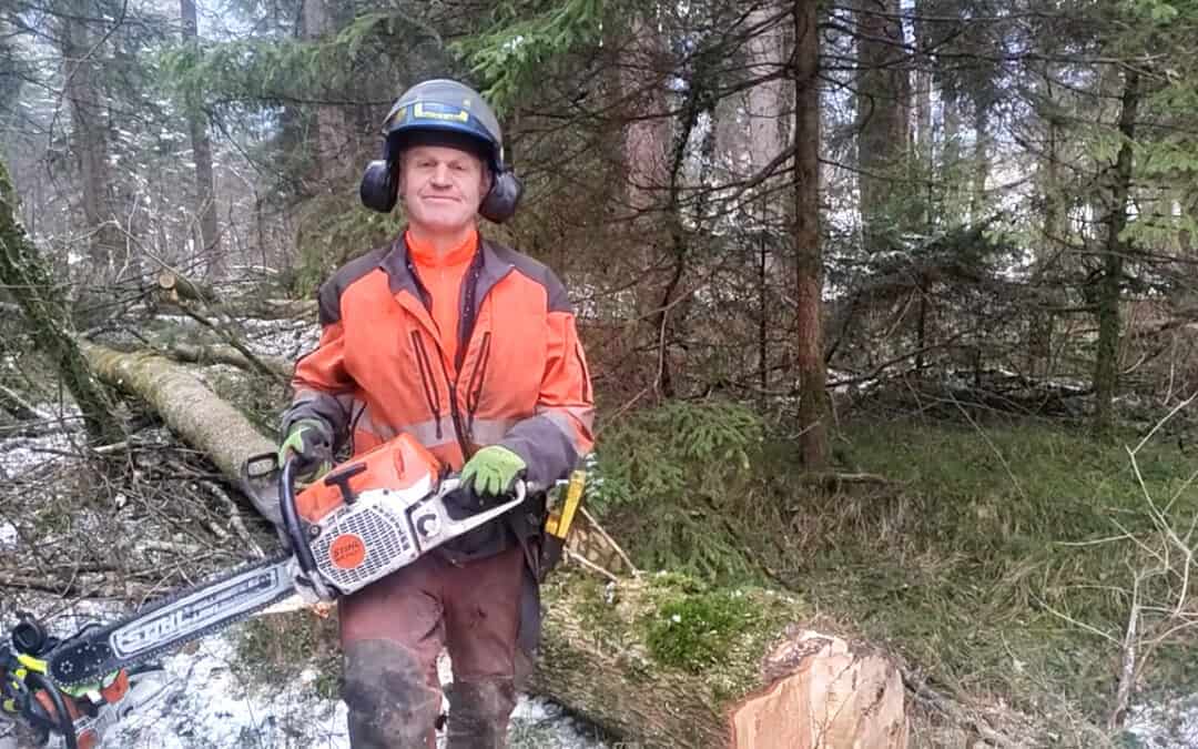 Klimawandel begünstigt Eschensterben