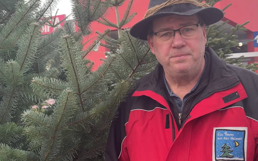 Echte Christbäume produzieren Sauerstoff und sind gut für das Klima