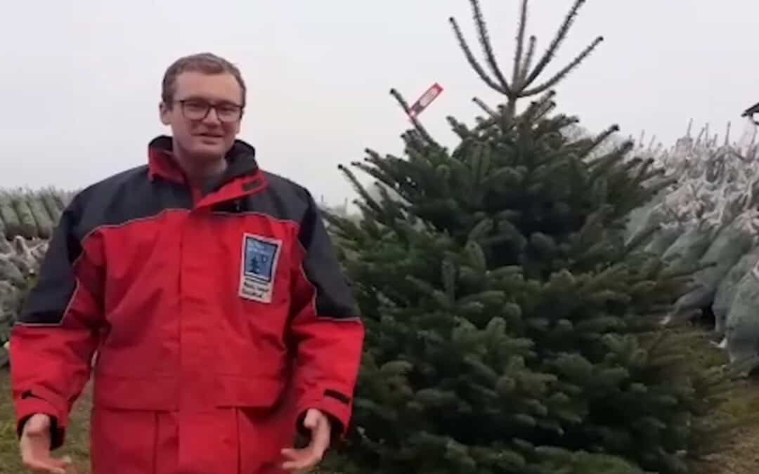 OÖ Christbaumbauern – In der Gemeinschaft liegt die Kraft