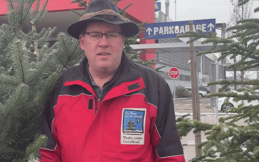 Christbaum ist nicht gleich Christbaum