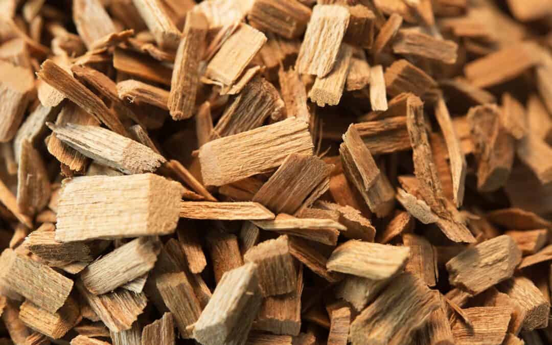 Mindert die Biomassenutzung den Klimawandel?