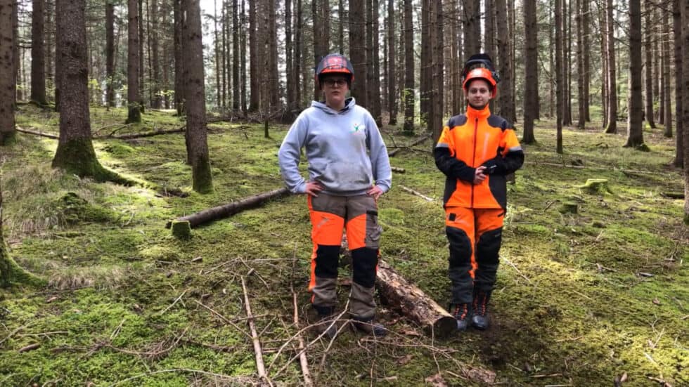 waldgeschichten-video-app-wald-totholz-im-wald-wichtigkeit-erklaert