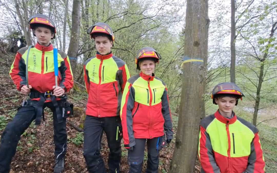 Laubholzbewirtschaftung muss gelernt sein