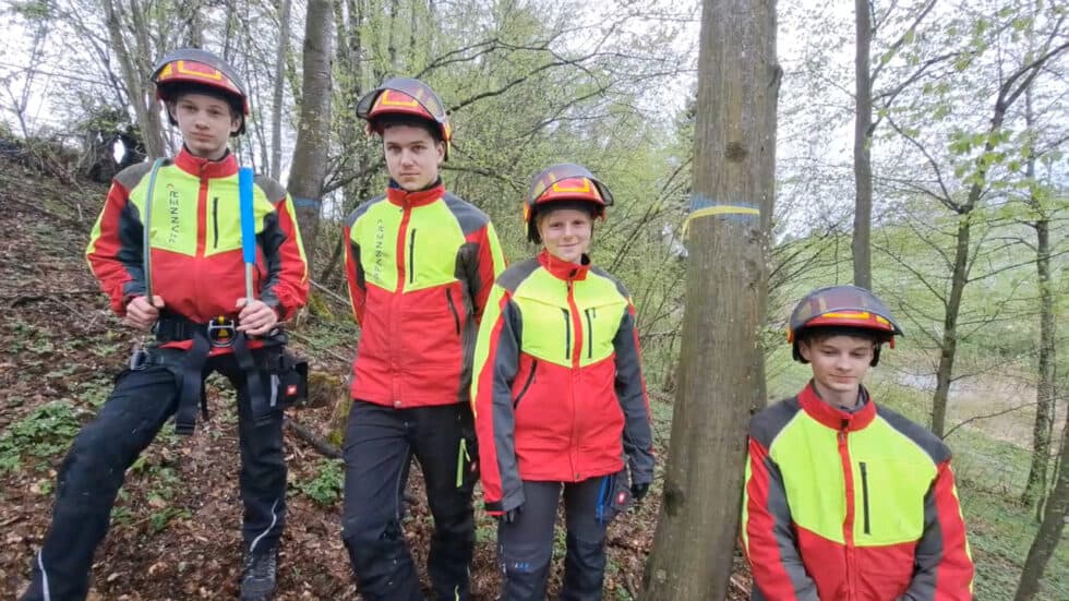 waldgeschichten-video-laubholzbewirtschaftung-erklaert-von-schuelern-der-lfs-stiegerhof