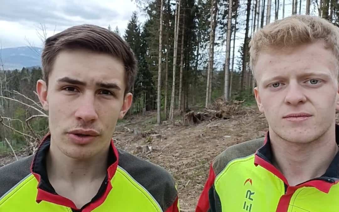 Von der Windwurffläche zum klimafitten Wald