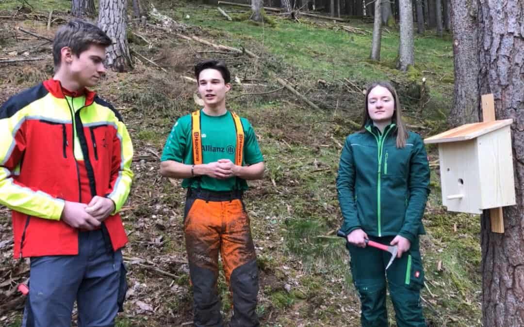 Biodiversität ist ein fixer Bestandteil der klimafitten Waldbewirtschaftung