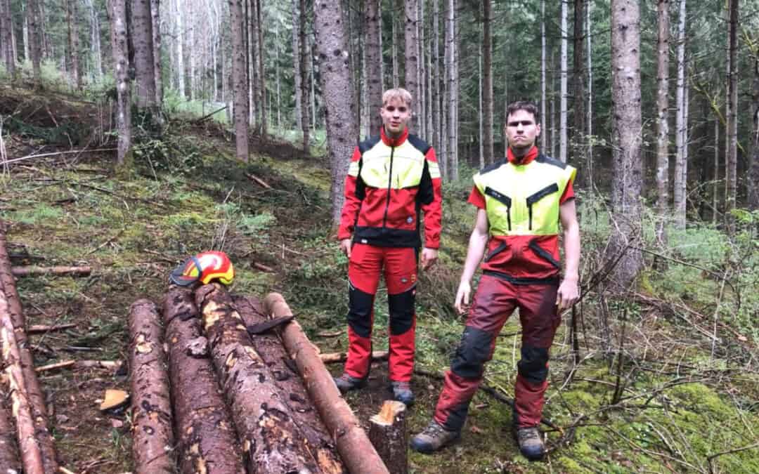 Vom Reinbestand zum Mischwald