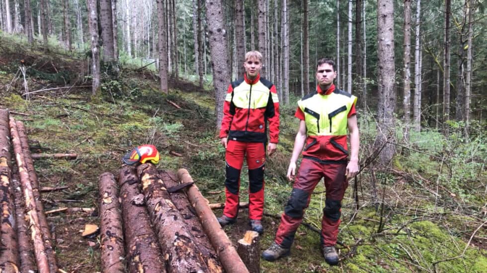 waldgeschichten-video-wald-app-mischwald-erklaert